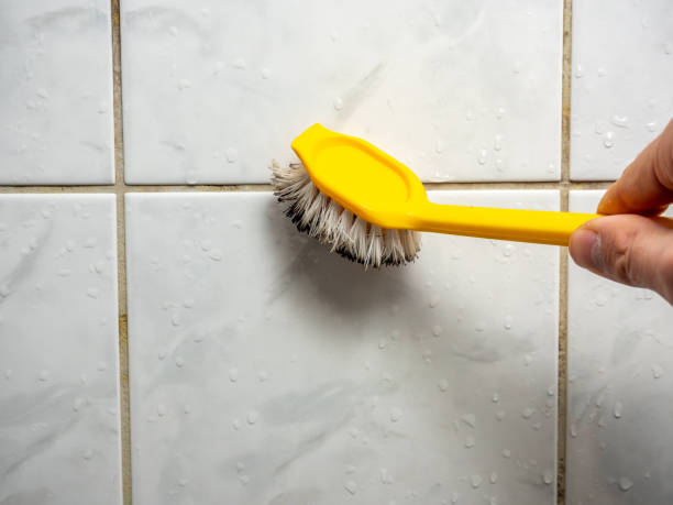 Best Home Mold Removal  in Fern Acres, HI