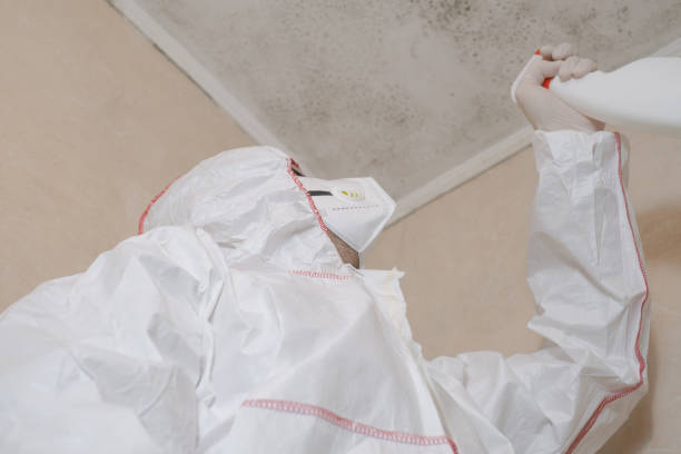 Best Residential Mold Removal  in Fern Acres, HI